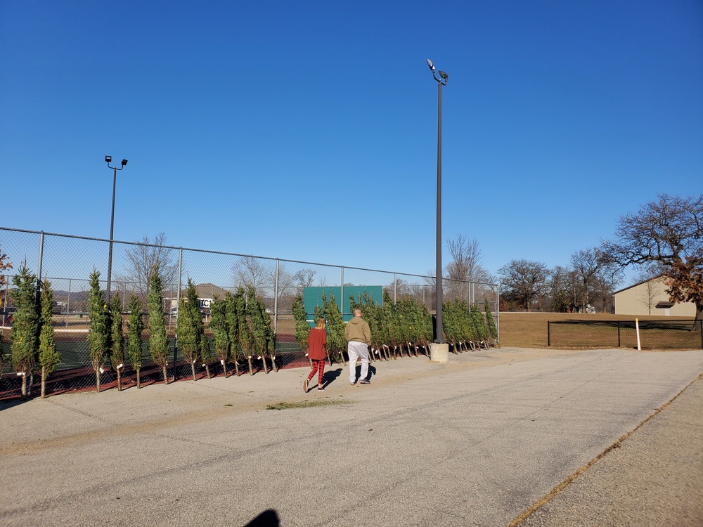 Trees for Troops 2020 brings 80 trees for military families at Fort McCoy