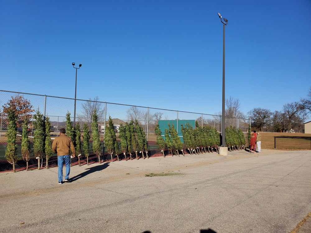 Trees for Troops 2020 brings 80 trees for military families at Fort McCoy