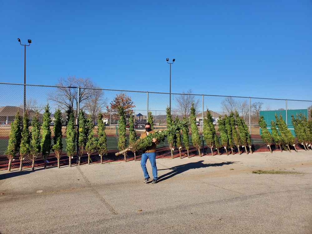 Trees for Troops 2020 brings 80 trees for military families at Fort McCoy