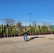 Trees for Troops 2020 brings 80 trees for military families at Fort McCoy