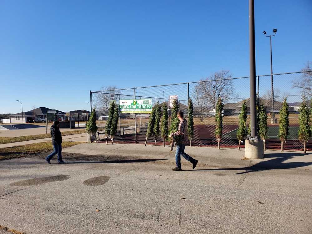 Trees for Troops 2020 brings 80 trees for military families at Fort McCoy