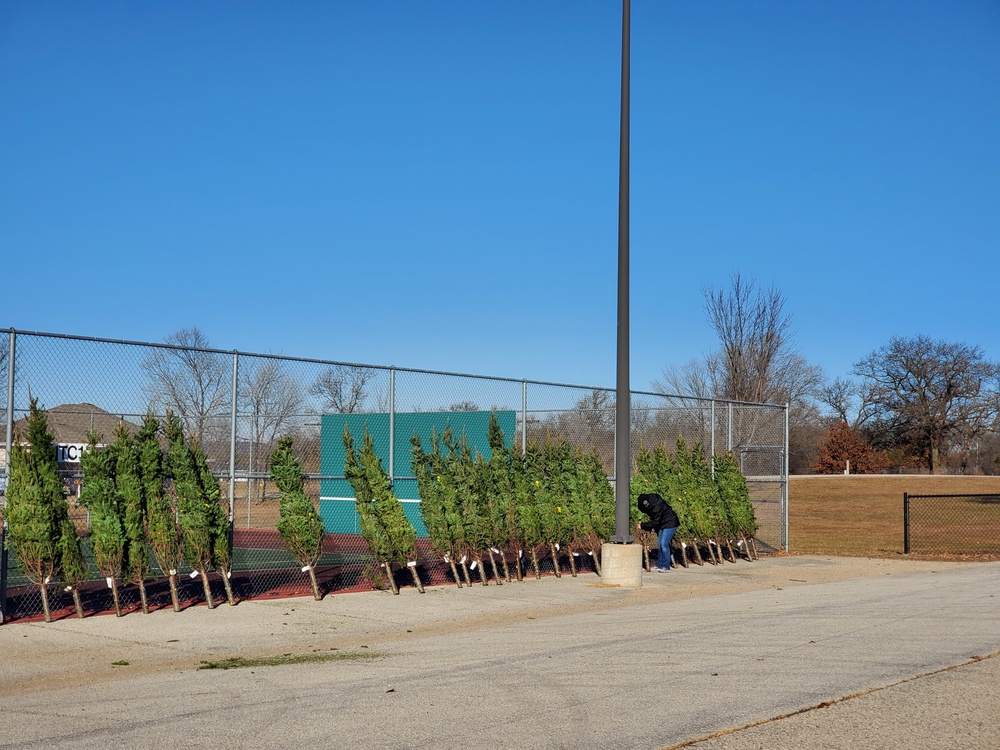 Trees for Troops 2020 brings 80 trees for military families at Fort McCoy