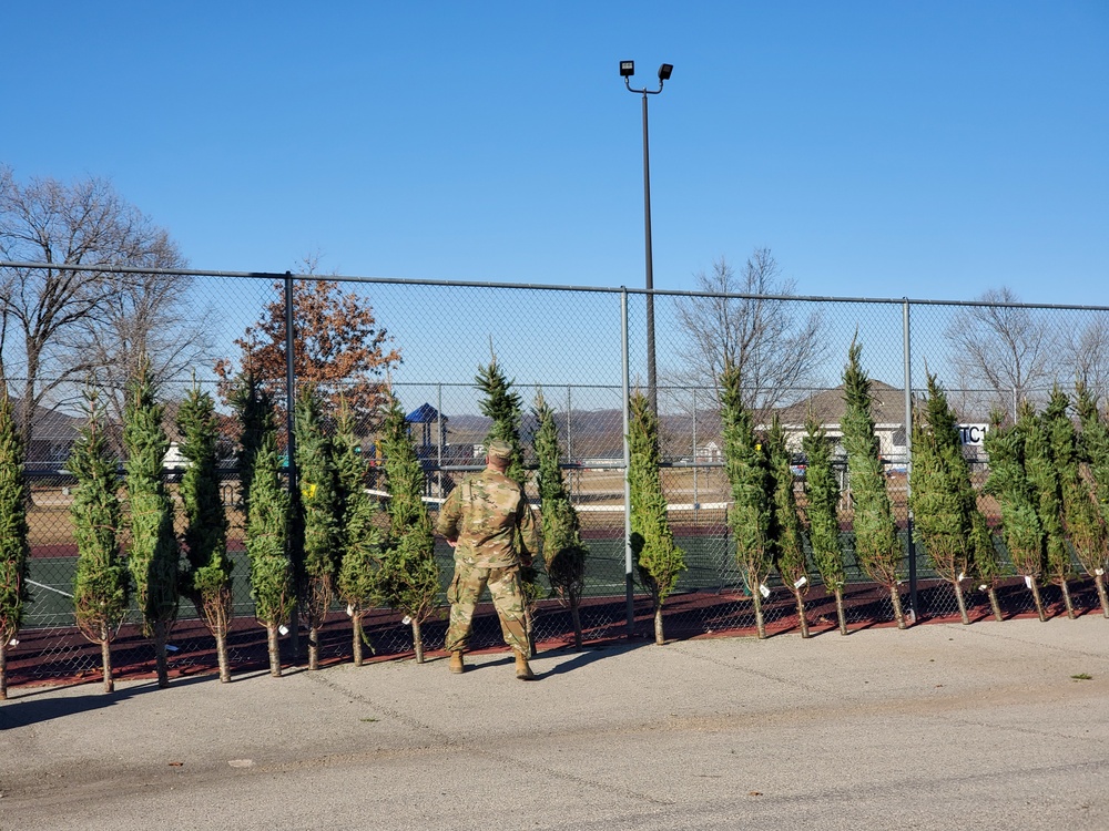 Trees for Troops 2020 brings 80 trees for military families at Fort McCoy