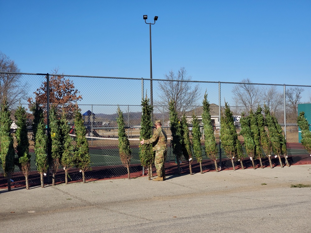 Trees for Troops 2020 brings 80 trees for military families at Fort McCoy