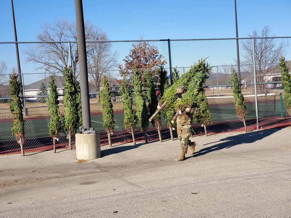 Trees for Troops 2020 brings 80 trees for military families at Fort McCoy