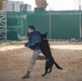 U.S. Air Force Military Working Dog familiarization