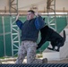 U.S. Air Force Military Working Dog familiarization