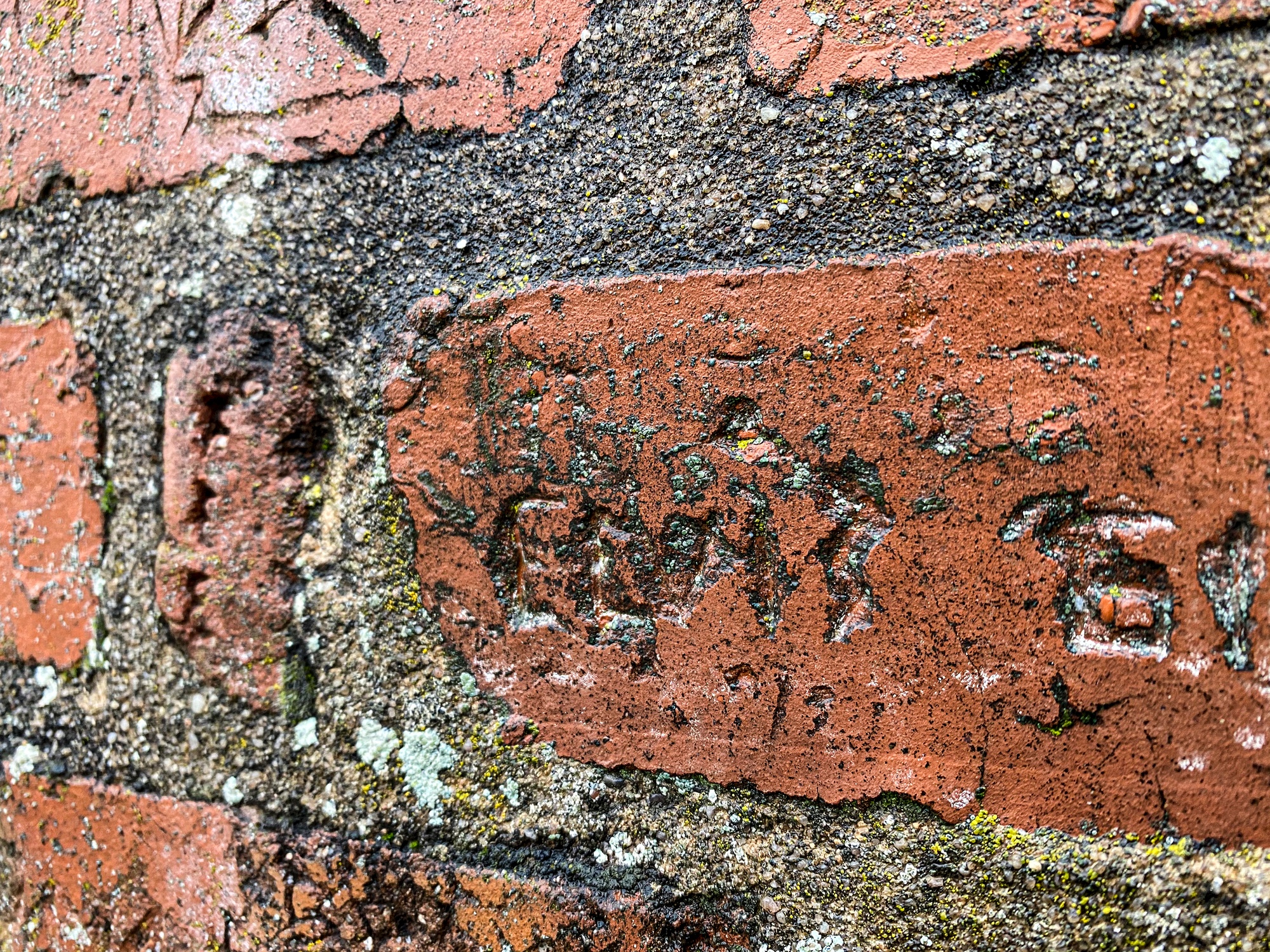 DVIDS - Images - Wet Elvis brick [Image 9 of 9]