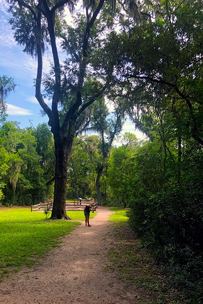 Summer travel during COVID-19