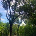 Summer travel during COVID-19