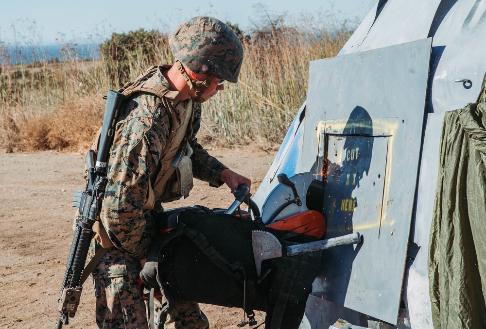 BLT 1/1 Conducts TRAP Training