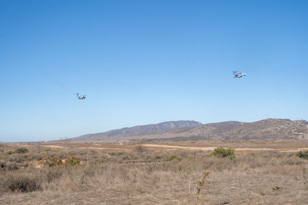 BLT 1/1 conducts TRAP training