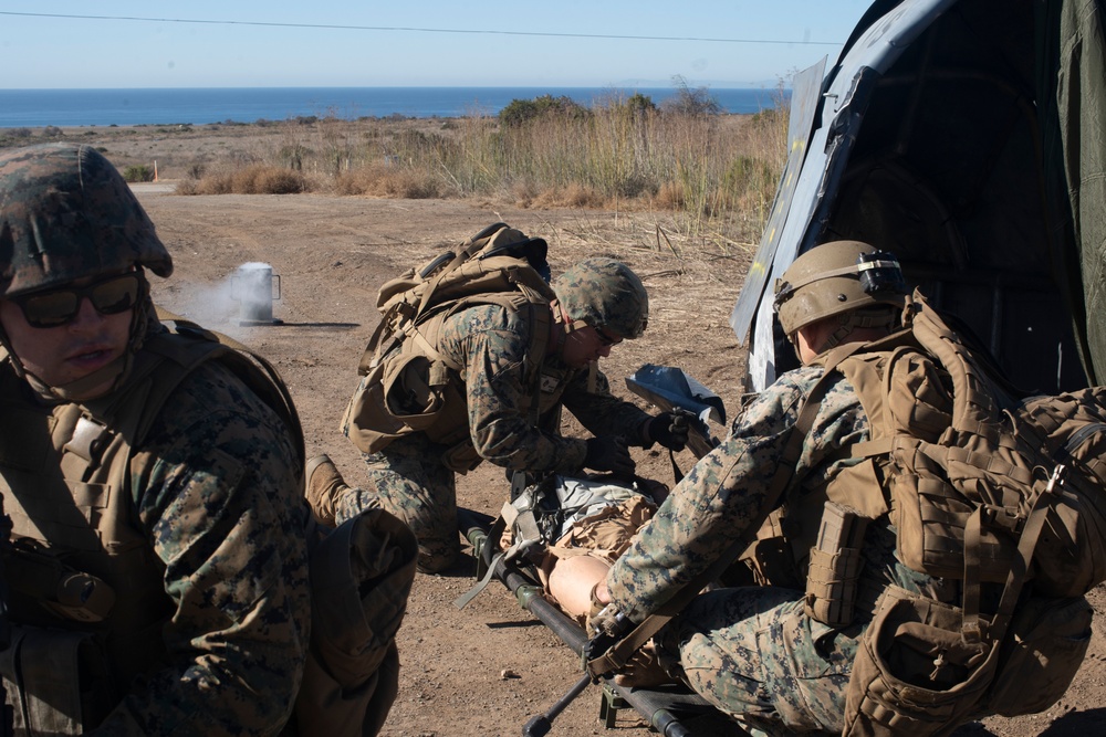 BLT 1/1 conducts TRAP training