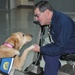 These heroes have four legs