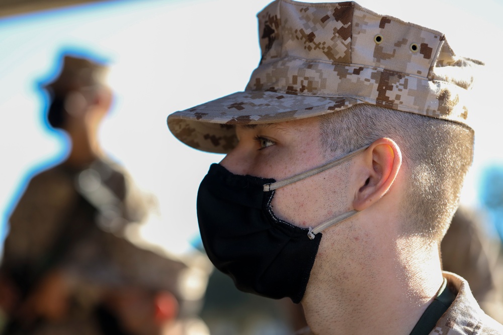 Alpha Company Grass Week