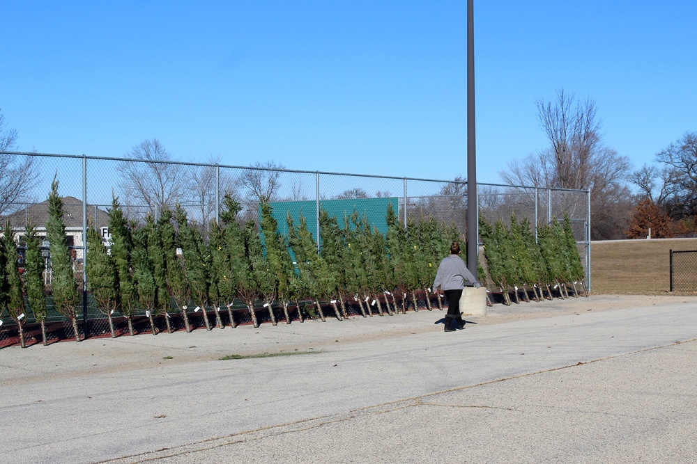 Trees for Troops 2020 brings 80 trees for military families at Fort McCoy