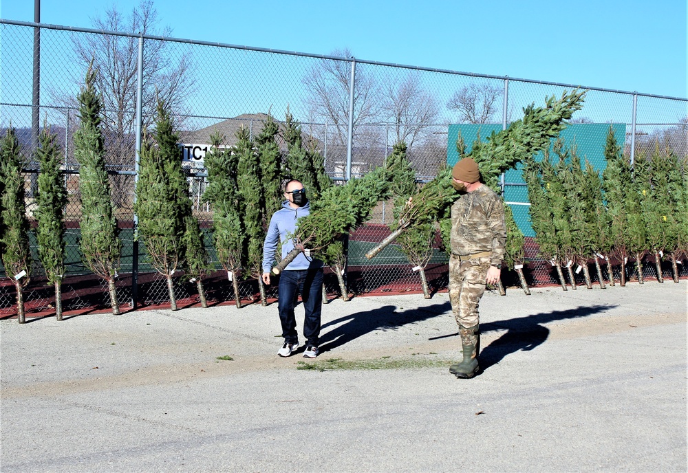 Trees for Troops 2020 brings 80 trees for military families at Fort McCoy