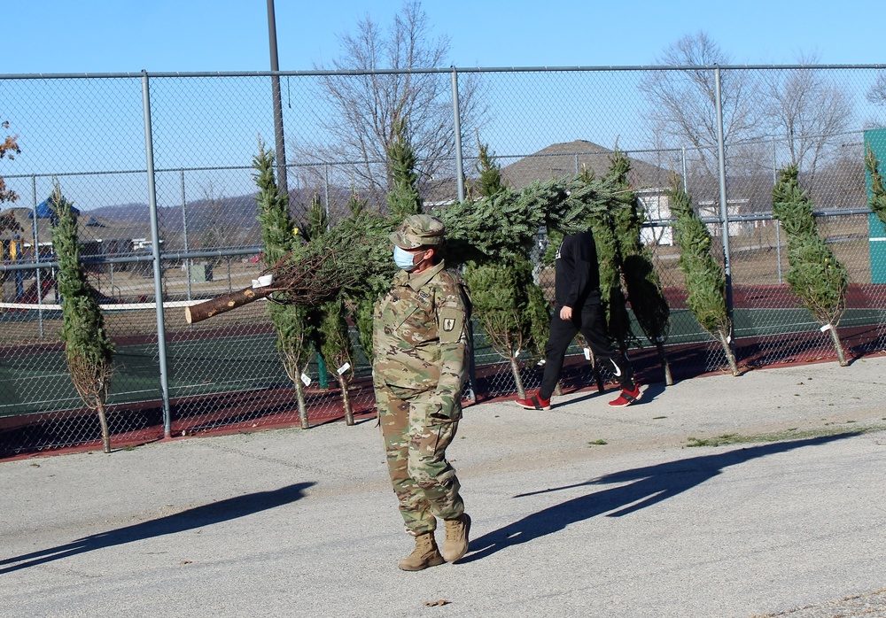 Trees for Troops 2020 brings 80 trees for military families at Fort McCoy