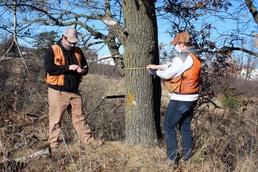 New technicians take on challenge for Fort McCoy’s extensive forestry program