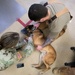 Military Working Dog Photo Story