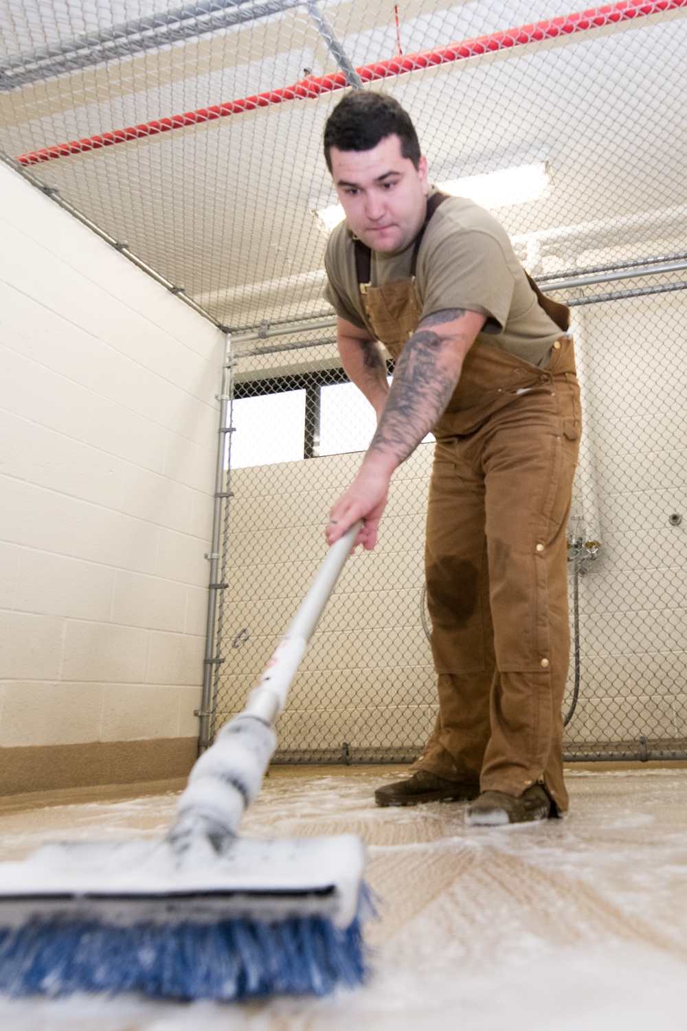 Military Working Dog Photo Story