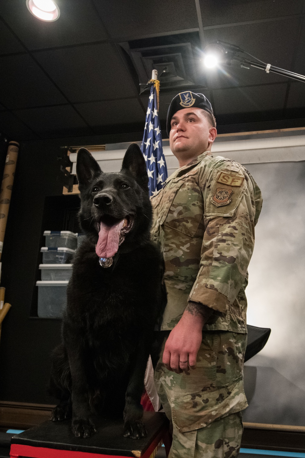 Military Working Dog Photo Story