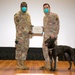 Military Working Dog Photo Story