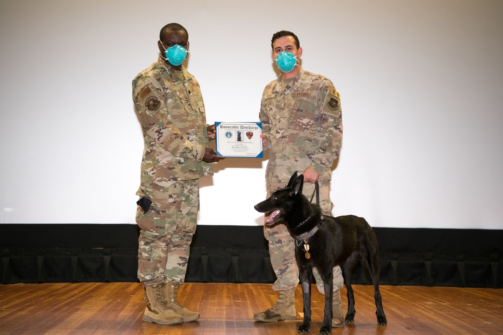 Military Working Dog Photo Story