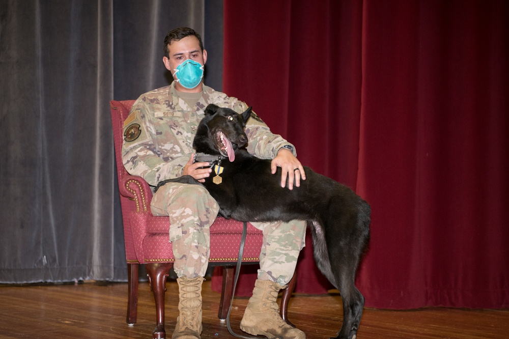 Military Working Dog Photo Story