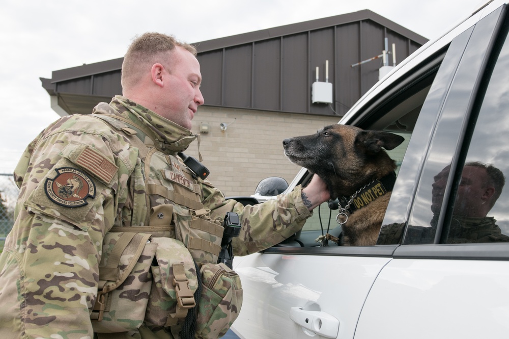 Military Working Dog Photo Story