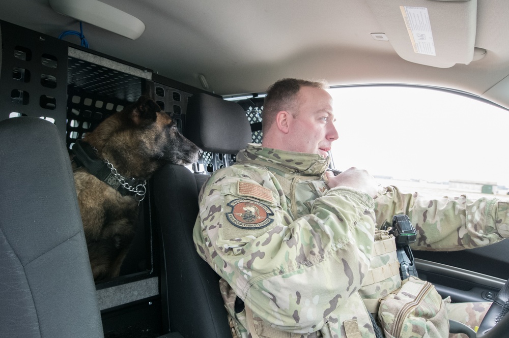 Military Working Dog Photo Story