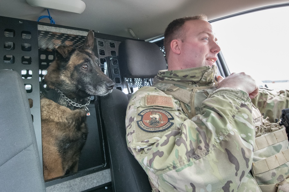 Military Working Dog Photo Story