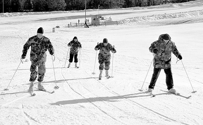Cross-country skiing, 2006
