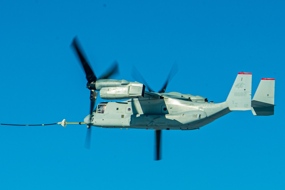 VMM-363 TAAR