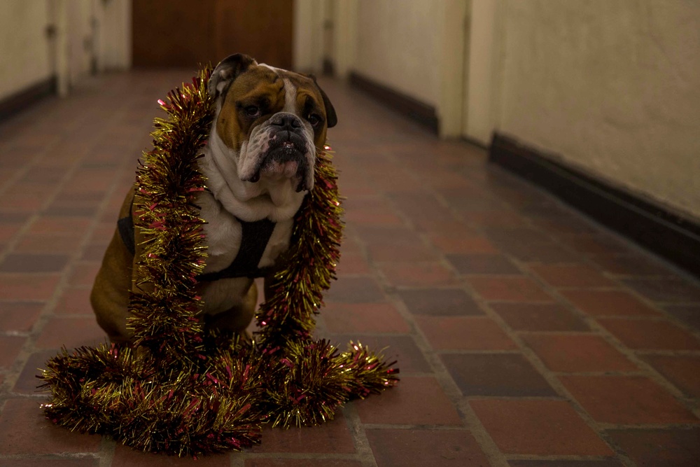 Happy New Year from Marine Corps Recruit Depot, San Diego