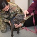 Fort Drum Veterinary Treatment Facility hosts drive-up vaccine clinic