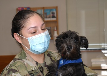 Fort Drum Veterinary Treatment Facility hosts drive-up vaccine clinic