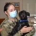Fort Drum Veterinary Treatment Facility hosts drive-up vaccine clinic