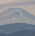 Fuji Flight 2021