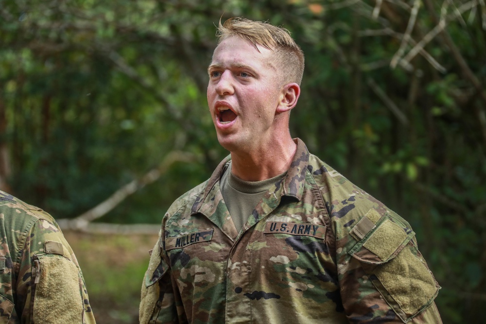 Small Unit Ranger Tactics