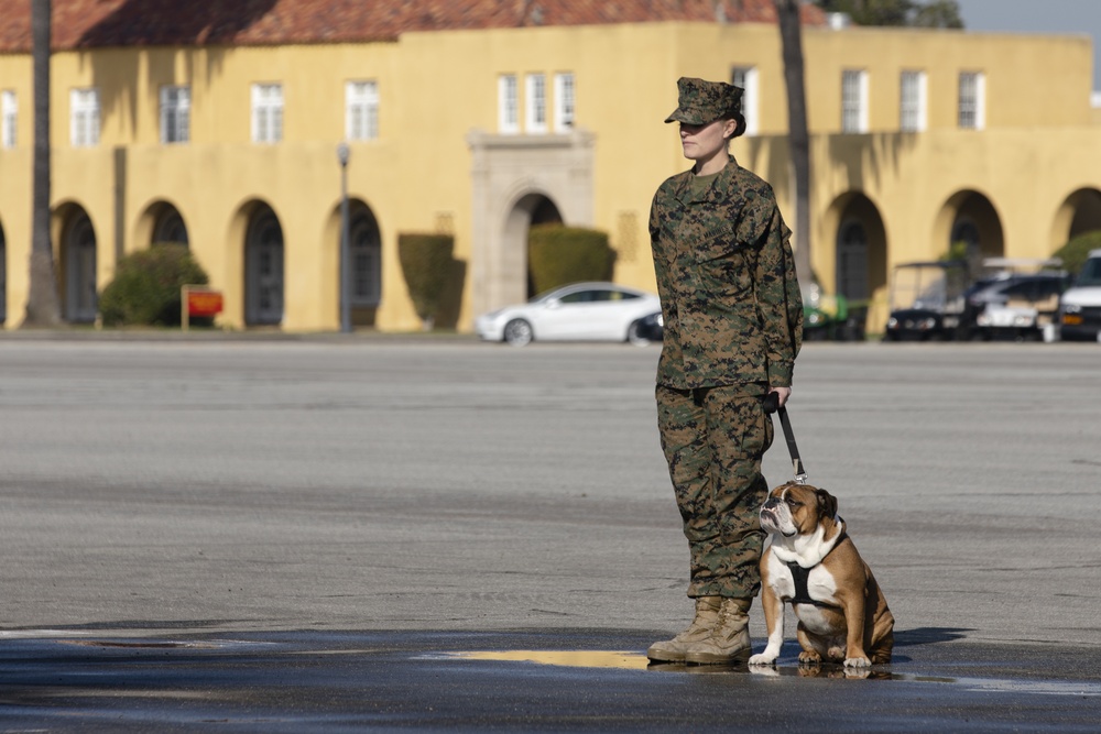 Charlie Company Graduation