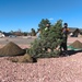 21 CES belatedly observes Arbor Day