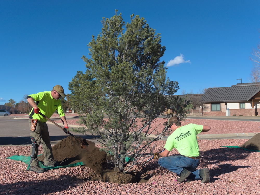 21 CES belatedly observes Arbor Day