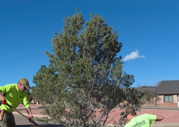 21 CES belatedly observes Arbor Day