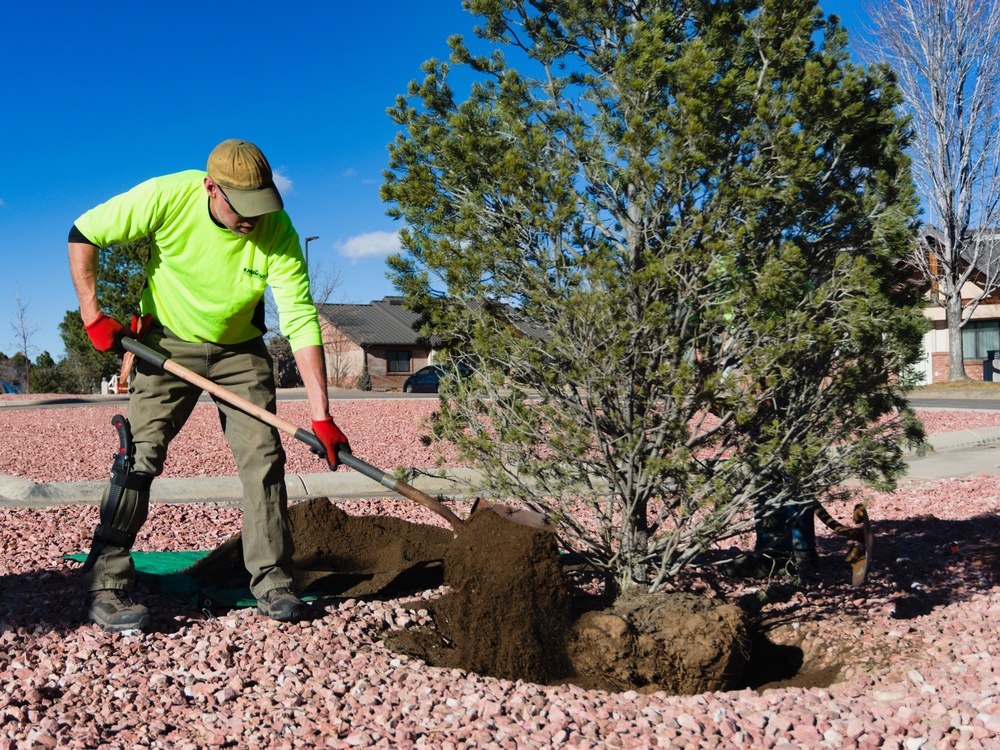 21 CES belatedly observes Arbor Day