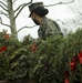 Marines Assist With Wreaths Across America Cleanup