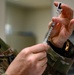 633 MDG Begins Administering COVID-19 Vaccination