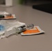 Wyvern Flu Line