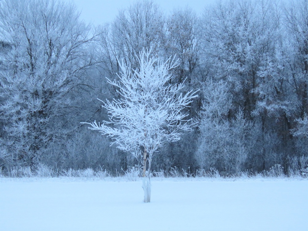 Fort McCoy Winter Rime Ice