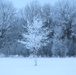 Fort McCoy Winter Rime Ice